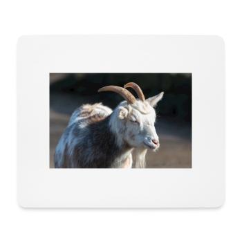 Dwarf Goat or Miniature Goat Zwergziege - Mouse Pad (horizontal) - white - Front