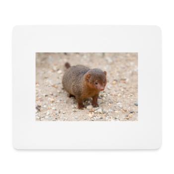dwarf mongoose (in german Zwergmangusten) Helogale - Mouse Pad (horizontal) - white - Front