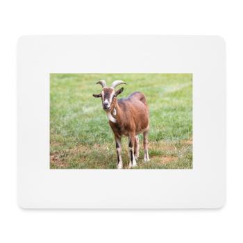 Goat (Ziege, Capra) brown and white - Mouse Pad (horizontal) - white - Front