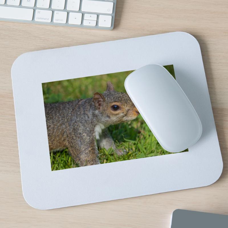 Grey squirrel Grauhörnchen Sciurus carolinensis Mouse Pad (horizontal)