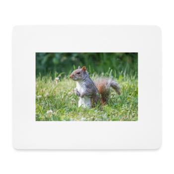 stehendes Grauhörnchen (Sciurus carolinensis) grey - Mousepad (Querformat) - Weiß - Vorne
