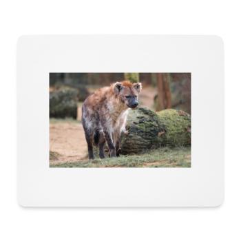 Hyène ou Hyène ou Harpie (en allemand Hyäne) Hyène - Tapis de souris (format paysage) - blanc - Devant