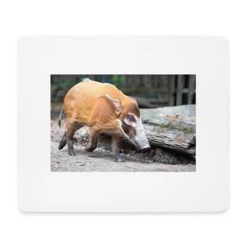 bush pig or red river hog Pinselohrschwein - Mouse Pad (horizontal) - white - Front