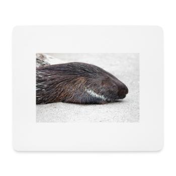 Porcupine als Porky (in german Stachelschwein) - Mouse Pad (horizontal) - white - Front