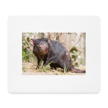 Tasmanischer Teufel - Mousepad (Querformat) - Weiß - Vorne