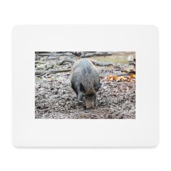Wildschwein Sus scrofa - Mousepad (Querformat) - Weiß - Vorne