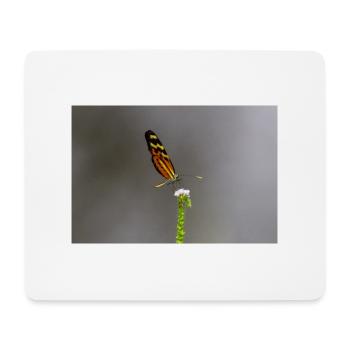 Der Schmetterling auf der Blume - Mousepad (Querformat) - Weiß - Vorne