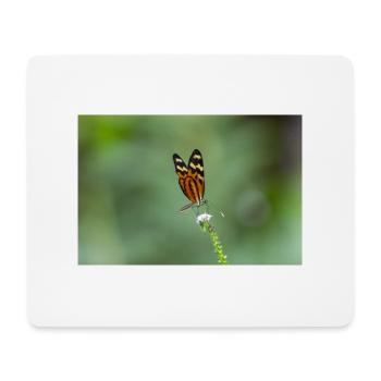 papillon - Tapis de souris (format paysage) - blanc - Devant