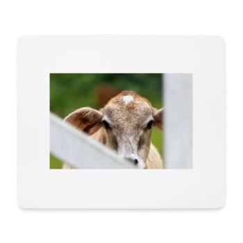Kleines Kalb mit süßem Aussehen - Mousepad (Querformat) - Weiß - Vorne