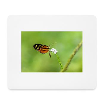 The butterfly on the flower - Mouse Pad (horizontal) - white - Front