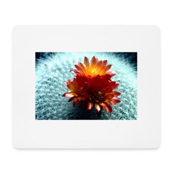 Blühender Kaktus - Mousepad (Querformat) - Weiß - Vorne