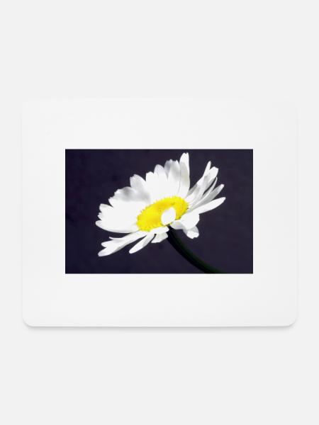 Margarite - Mousepad (Querformat) - Weiß