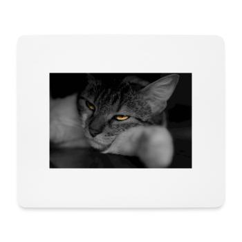 The cat with the terrible look - Mouse Pad (horizontal) - white - Front