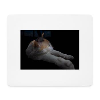 Die weiße Katze mit den grünen Augen - Mousepad (Querformat) - Weiß - Vorne