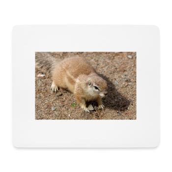 African ground squirrels Borstenhörnchen Xerus - Mouse Pad (horizontal) - white - Front
