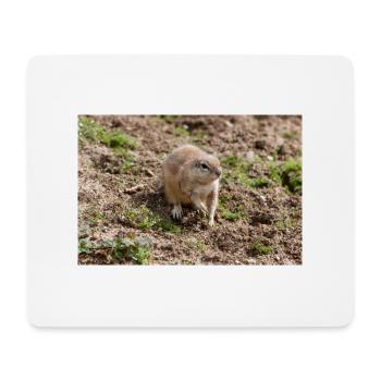 African ground squirrels Borstenhörnchen Xerus - Mouse Pad (horizontal) - white - Front