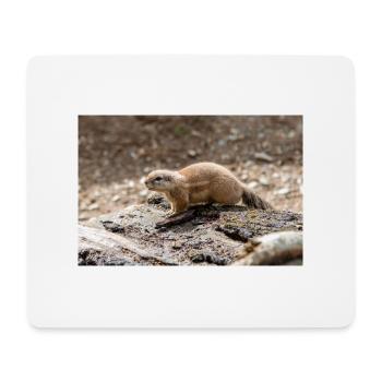 African ground squirrels Borstenhörnchen Xerus - Mouse Pad (horizontal) - white - Front