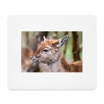 Fallow Deer (in german Damwild or Damhirsch) Dama - Mouse Pad (horizontal) - white - Front
