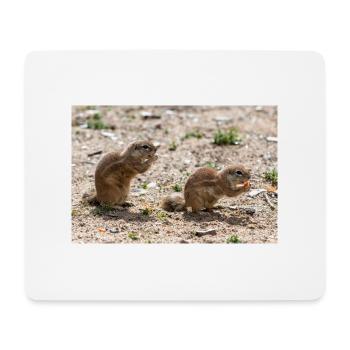 African ground squirrels Borstenhörnchen Xerus - Mouse Pad (horizontal) - white - Front