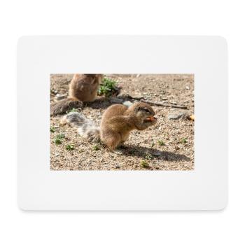 African ground squirrels (in german Afrikanische B - Mouse Pad (horizontal) - white - Front