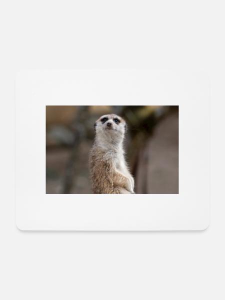 Erdmännchen Suricata suricatta - Mousepad (Querformat) - Weiß
