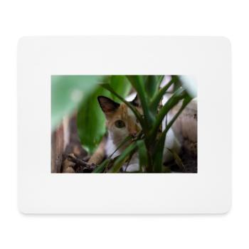 le chat au doux regard - Tapis de souris (format paysage) - blanc - Devant