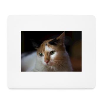 Die Katze - Mousepad (Querformat) - Weiß - Vorne