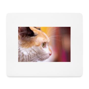 Katzen-Look - Mousepad (Querformat) - Weiß - Vorne