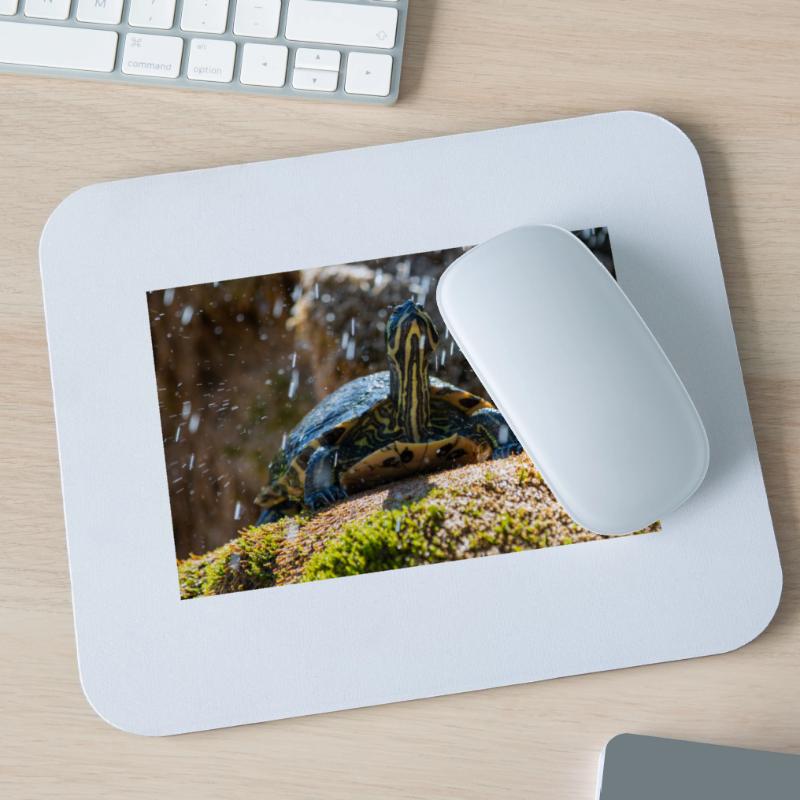 Trachemys scripta scripta scripta Tapis de souris (format paysage)