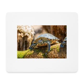 Gelbbauch-Slider Trachemys scripta scripta - Mousepad (Querformat) - Weiß - Vorne