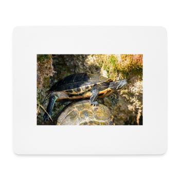 Gelbbauch-Slider Trachemys scripta scripta - Mousepad (Querformat) - Weiß - Vorne