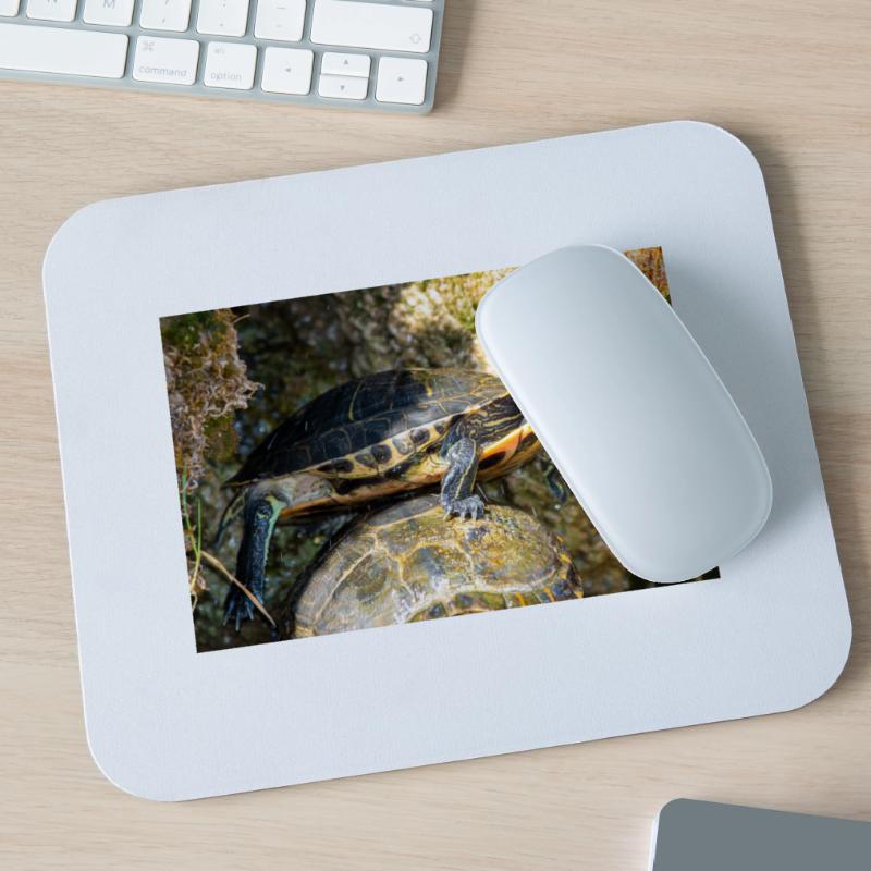 Trachemys scripta scripta scripta Tapis de souris (format paysage)