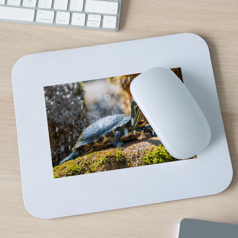 Trachemys scripta scripta scripta Tapis de souris (format paysage)