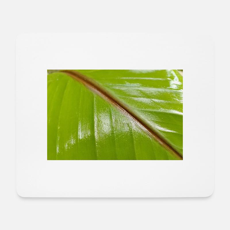 Bananenbaum - Mousepad (Querformat) - Weiß