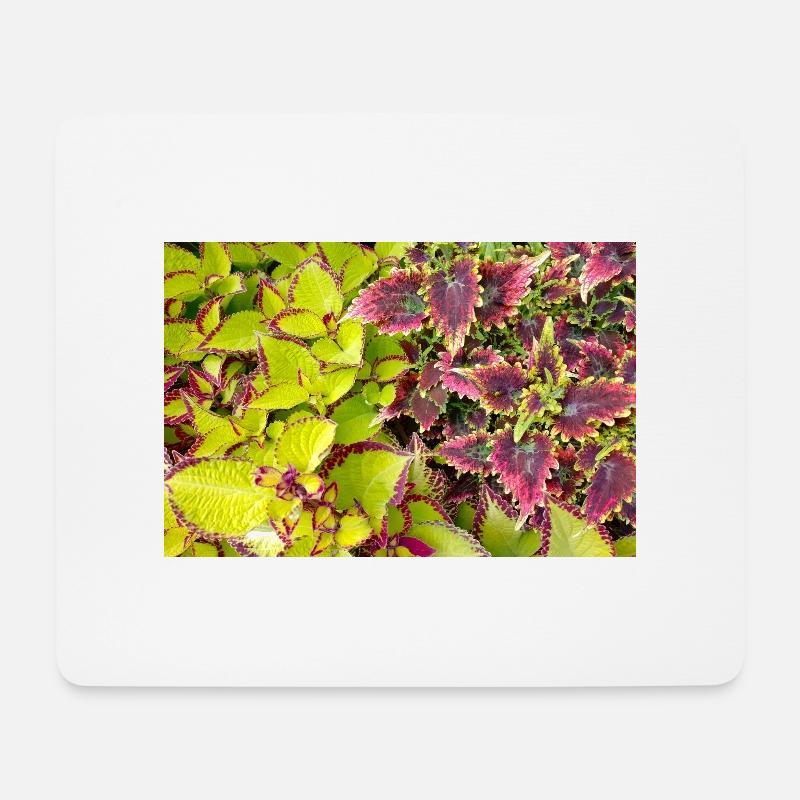 Coleus - Mouse Pad (horizontal) - white