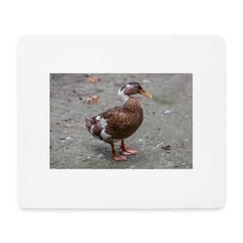 Barnacle Goose Weißwangengans, Nonnengans, Branta - Mouse Pad (horizontal) - white - Front