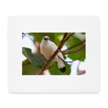 Étourneau de Bali Balistar Bali-Mynah, Leucopsar - Tapis de souris (format paysage) - blanc - Devant
