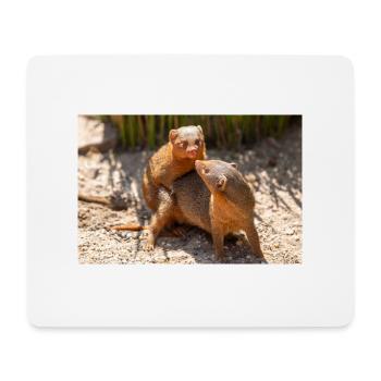 dwarf mongoose (in german Zwergmangusten) Helogale - Mouse Pad (horizontal) - white - Front