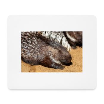 Porcupine als Porky Stachelschwein Hystricidae - Mouse Pad (horizontal) - white - Front