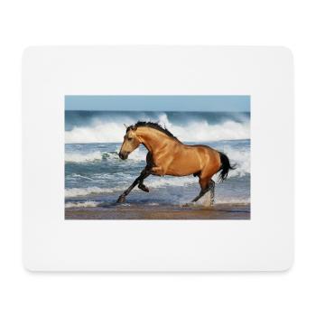Pferde - Mousepad (Querformat) - Weiß - Vorne