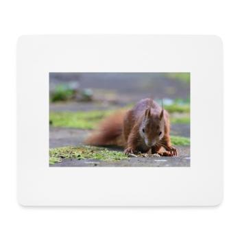 Eichhörnchen - Mousepad (Querformat) - Weiß - Vorne