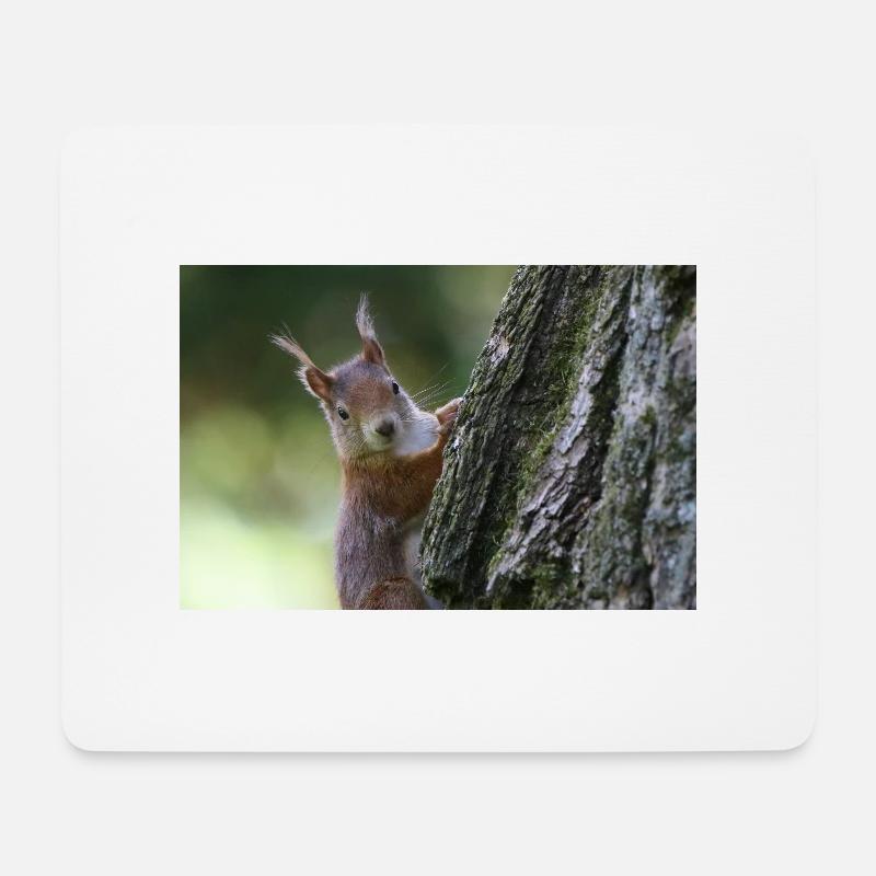 Eichhörnchen,Isibat - Mousepad (Querformat) - Weiß