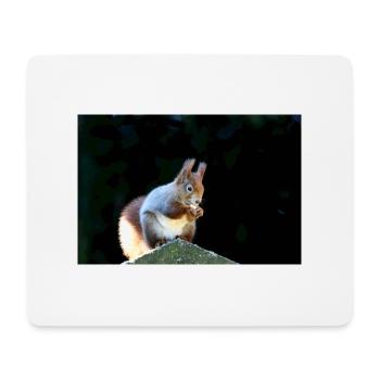 Eichhörnchen, Isibat - Mousepad (Querformat) - Weiß - Vorne