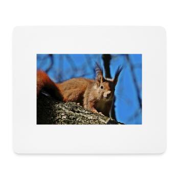 Eichhörnchen - Mousepad (Querformat) - Weiß - Vorne