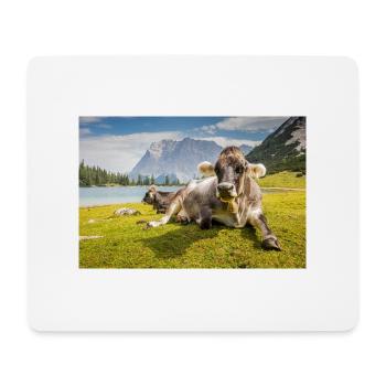 Vaches au lac Sebensee - Tapis de souris (format paysage) - blanc - Devant