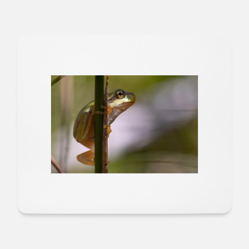Laubfrosch - Mousepad (Querformat) - Weiß