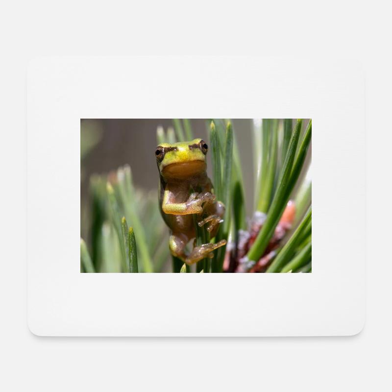 Laubfrosch - Mousepad (Querformat) - Weiß