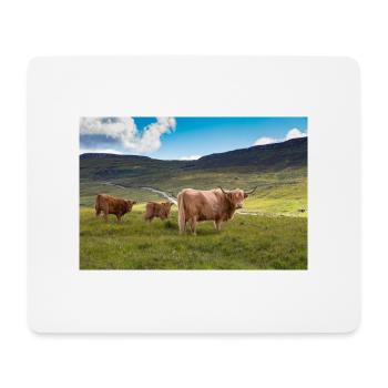 Scottish Highland cattle - Mouse Pad (horizontal) - white - Front