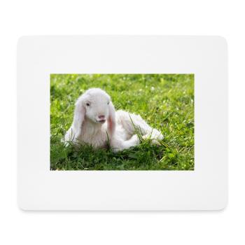 Lamm mit Kussmund - Mousepad (Querformat) - Weiß - Vorne