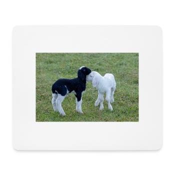 Lambs black and white - Mouse Pad (horizontal) - white - Front